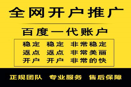 SEM专员案例：数据分析与优化
